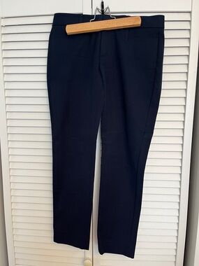 Banana Republic Navy Sloan Pant